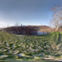 Riverside walk January 2106 - Rona Ellis (1).jpg